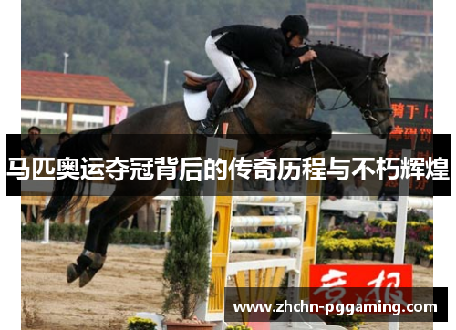 马匹奥运夺冠背后的传奇历程与不朽辉煌