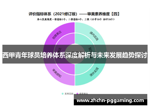 西甲青年球员培养体系深度解析与未来发展趋势探讨 西甲青年球员培养体系深度解析与未来发展趋势探讨