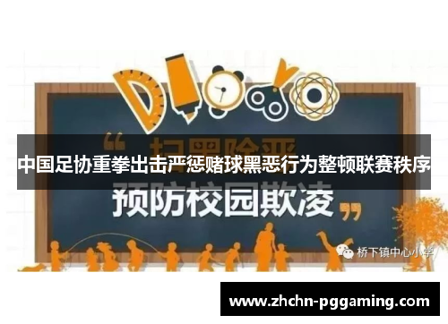 中国足协重拳出击严惩赌球黑恶行为整顿联赛秩序