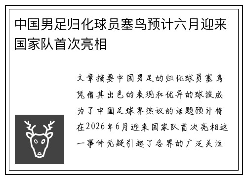 中国男足归化球员塞鸟预计六月迎来国家队首次亮相