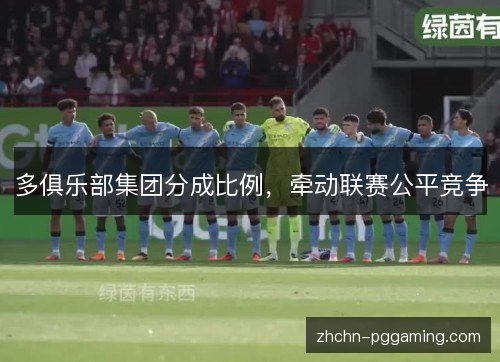 多俱乐部集团分成比例,牵动联赛公平竞争 多俱乐部集团分成比例,牵动联赛公平竞争