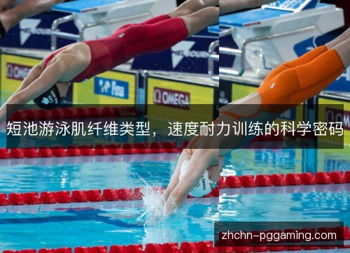 短池游泳肌纤维类型，速度耐力训练的科学密码